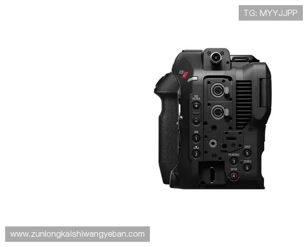 尊龙登录z6官图发布，探索手机行业的最新动向与趋势