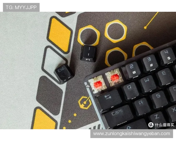 Z6尊龙在线登录入口详细操作流程及常见问题解决方案，确保玩家快速顺畅登录游戏